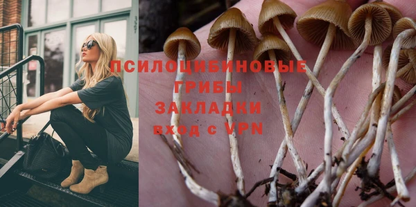 PSILOCYBIN Балабаново